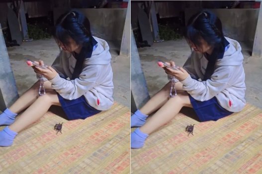Bạn đi đến nhà chơi và luôn rủ vào phòng nện